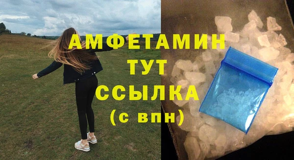соль ск Дмитров