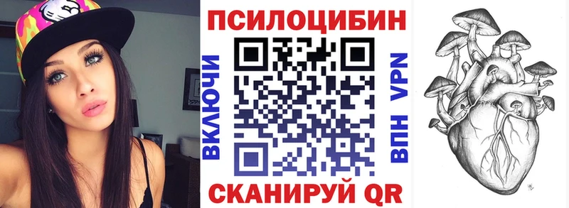 как найти   дарк нет как зайти  Галлюциногенные грибы прущие грибы  Оленегорск 
